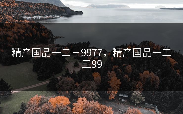 精产国品一二三9977，精产国品一二三99