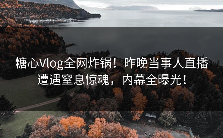 糖心Vlog全网炸锅！昨晚当事人直播遭遇窒息惊魂，内幕全曝光！