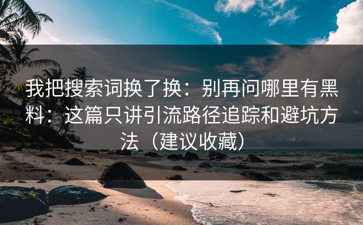 我把搜索词换了换：别再问哪里有黑料：这篇只讲引流路径追踪和避坑方法（建议收藏）